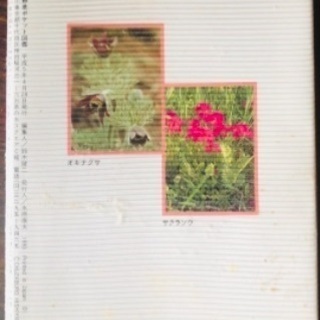 📕春の山野草 ポケット図鑑 フルカラー お散歩の画像