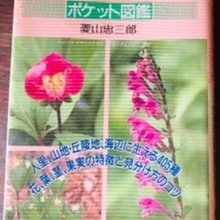 📕春の山野草 ポケット図鑑 フルカラー お散歩