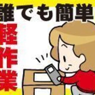 小型電子部品の組立検査のお仕事（19065）