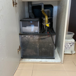 450×450×500ニッソークロス　オーバーフロー水槽　フルセット 450×450×500ニッソークロス オーバーフロー水槽 フルセット