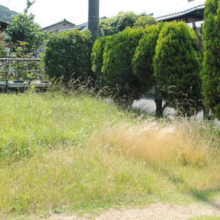 岡山市倉敷市全域で草刈り代行いたします。