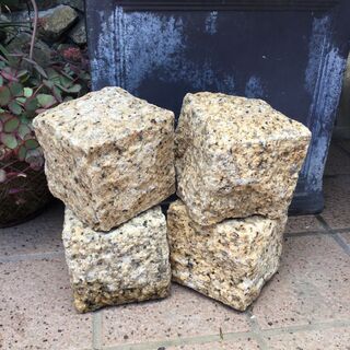 ピンコロ 1丁掛