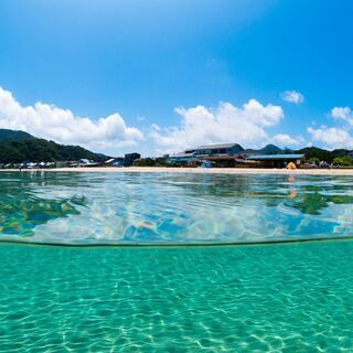 夏期アルバイト急募！【海沿いの民宿でのお仕事です!!】●未経験で...