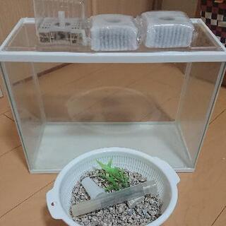【最終値下】蓋付きアクリル水槽(ろ過ポンプ有り)