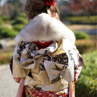 振袖一式 （現金取引）の画像