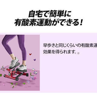 【未使用品】健康ステッパー ナイスデイ(レッド)