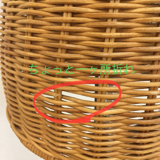 ラタン   マネキン　トルソー　レディース　電球　高さ調整できるの画像