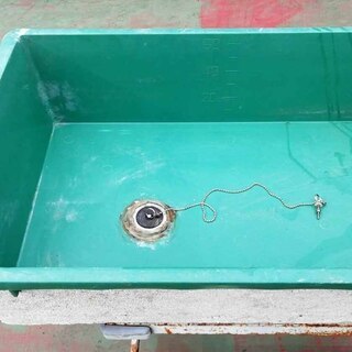 中古　サンコー　トロフネ