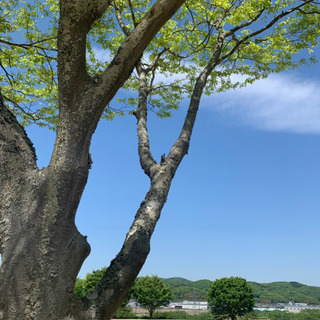 意気投合できる仲間欲しいー！