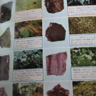 旺文社 学芸百科事典 19巻の画像