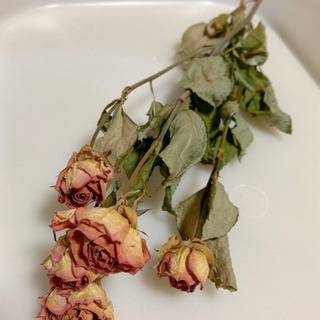 かわいい♡ドライフラワー 薔薇