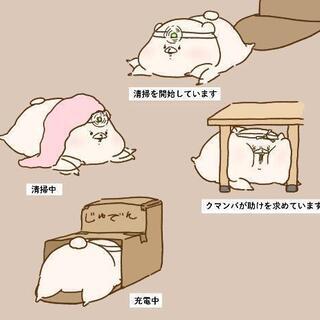 ３４歳♂です！