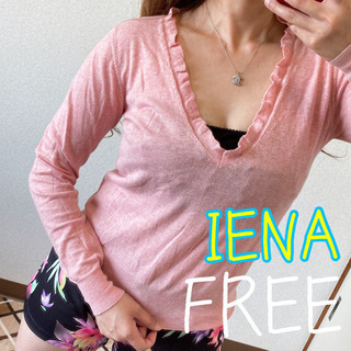 IENA イエナ カットソー フリル 綿100% フリーサイズ