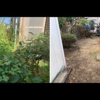 ご自宅や空き家　庭の草刈り承ります - 剪定/造園