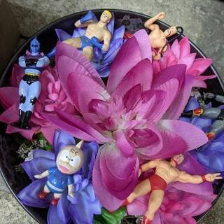 仲良くなろー☆