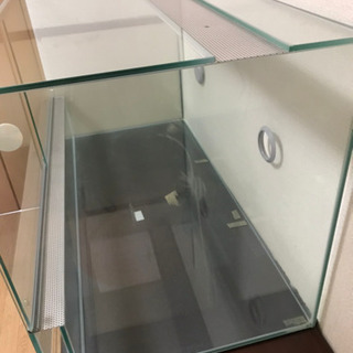 爬虫類　飼育　ガラスケージ　その他まとめて1万円の画像