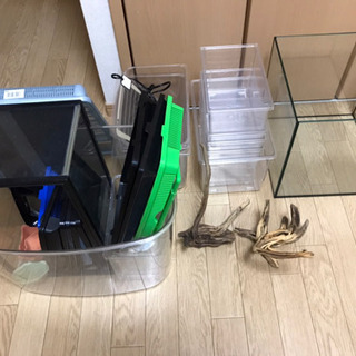 爬虫類　飼育　ガラスケージ　その他まとめて1万円の画像