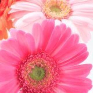 高時給！！製品の計量、充填、袋詰め作業です！基本ノー残業です♫の画像