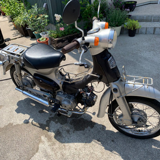 リトルカブ  買いませんか？