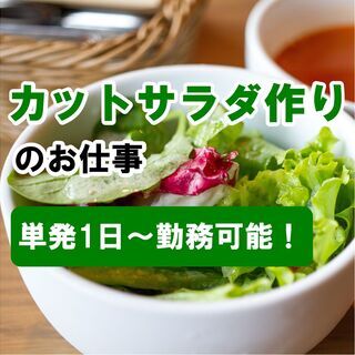 【短期1日〜OK！】大洲市春賀で野菜のカット、洗浄、選別などの下処理のお仕事！の画像