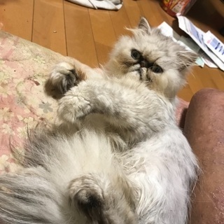 はじめまして‼️
