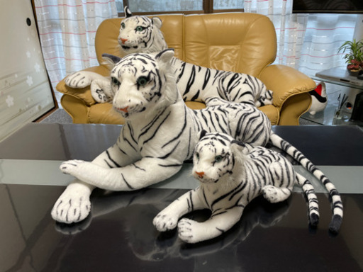 《最終お値下》★ホワイトタイガー★3点セット★