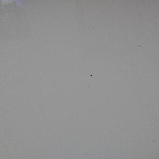 差し上げます。昇降式ダイニングテーブル【取りに来られる方限定】の画像