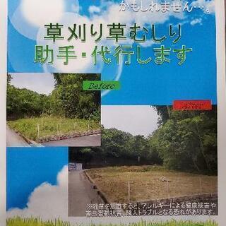 草刈り代行します。もちろん見積り無料。庭から雑種地、墓所までいろいろ。M&M大和田です - 手伝いたい/助けたい