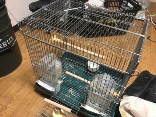 HOEI 鳥かご カバー付き