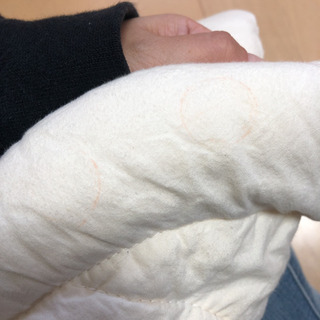 エルゴインサートの画像
