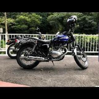 エストレヤの画像