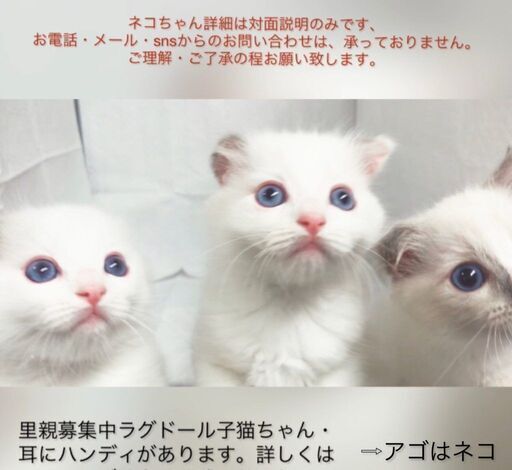 slide_C09A887A-B93D-45DB-94D0-