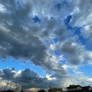 TVメディアに流されないで生きてる方⭐️ − 東京都