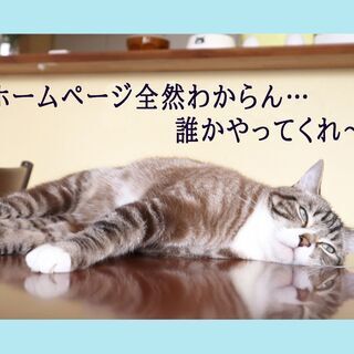 【ホームページ】制作をしています。インスタなどのSNS連携や自社...