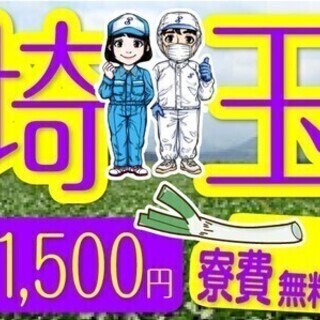 入社祝い金5万円＆ミニボーナス10万円！！未経験から稼げる作業ス...