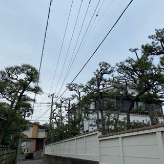 外構 造園工の画像