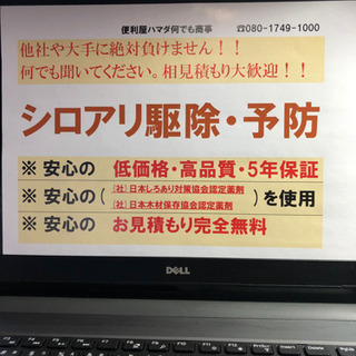 シロアリの事なら任せてください。