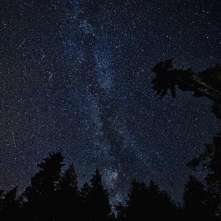 みんなで、流星群を一緒に見ませんか⁉️
