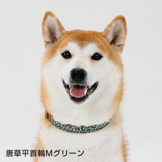 ペティオ “犬雅” 唐草 首輪  Petioの画像