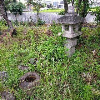 庭石あげます
