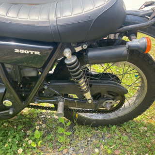 250TRの画像