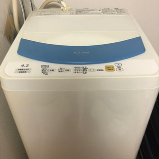 洗濯機お譲りします！ 日時指定あり
