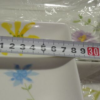 未使用　箱入り（箱劣化）桃山  REIKO TAKASHIMA BRAND  たかしまれいこ 　高島礼子プロデュース　角盛皿5枚　　&　　長皿、角皿等13枚の画像