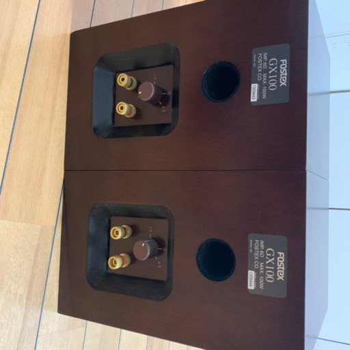 その他 FOSTEX.GX100