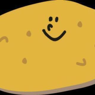 じゃがいも 激安 約10kg