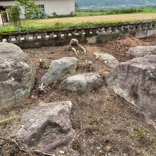 庭石　あげますの画像