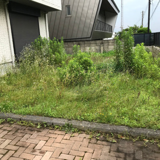 草刈り代行サービス