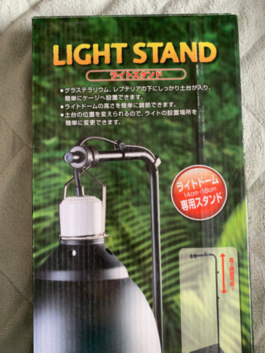 爬虫類セット