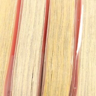 ハチミツにはつこい「１～１２」全巻の画像