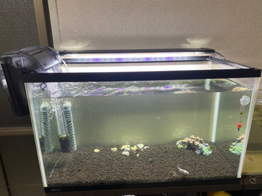 60センチ水槽フルセット＋熱帯魚